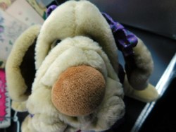 wrinkles purple face
